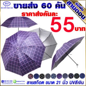 ร่มพับ 3 ตอน ลายสก็อต