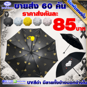 ร่มโค้งแฟชั่น