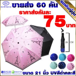 ร่มพับญี่ปุ่นลายปารีส