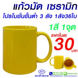 แก้วเซรามิค สีสันสดใส