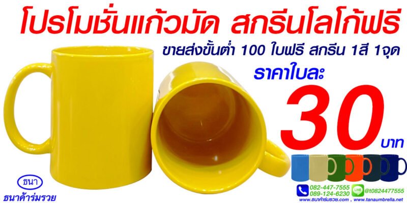 แก้วเซรามิคแบบที่ 2