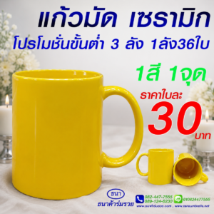 แก้วเซรามิค สีสันสดใส