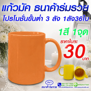 แก้วมัค สีสันสดใส