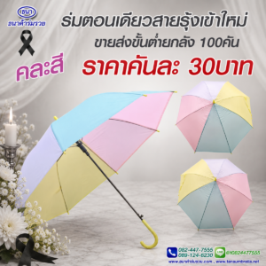 ร่มสายรุ้ง